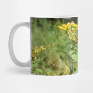 Spotted St. John's Wort Mug